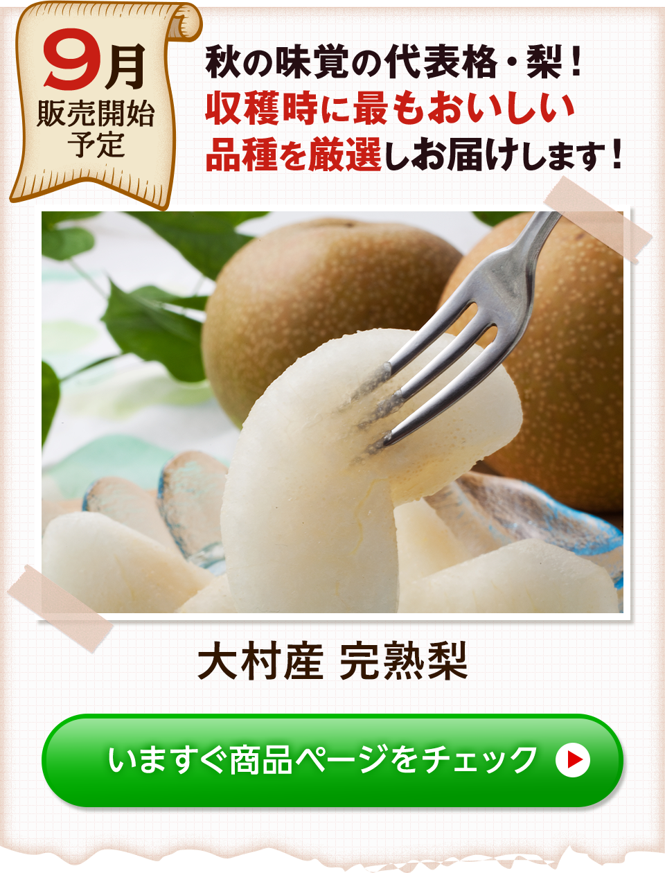 9月販売開始予定 梨2種(秋月&豊水)セット