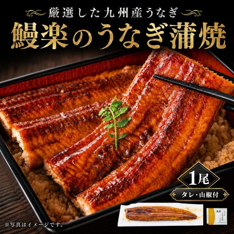 「鰻楽」のうなぎ蒲焼【長焼】210g 2尾 タレ・山椒付き