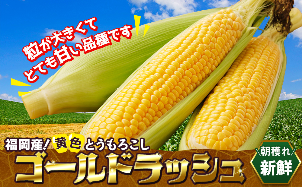 ゴールドラッシュ