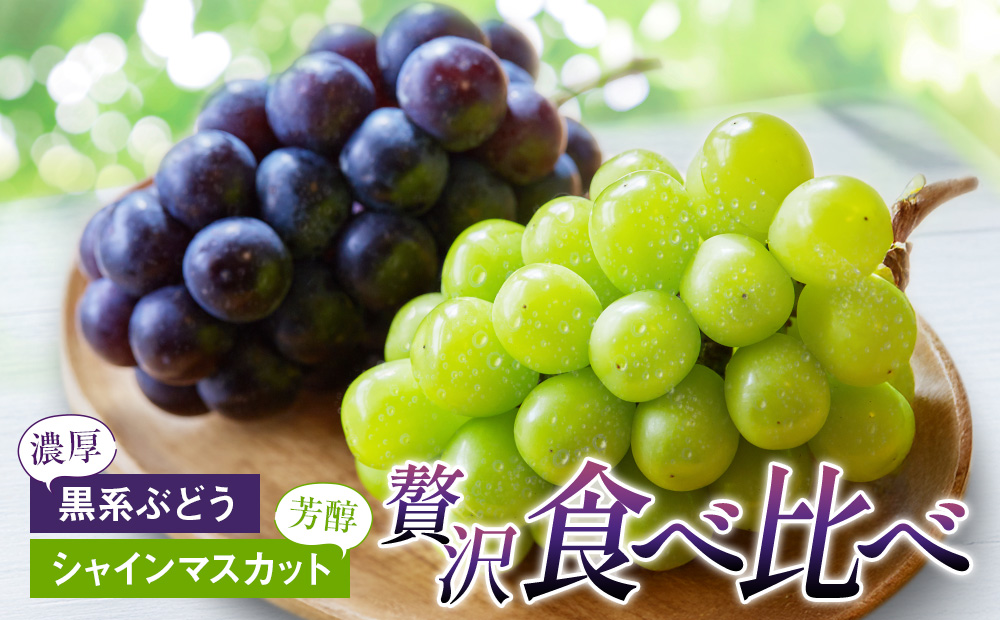 贅沢ぶどう食べ比べ