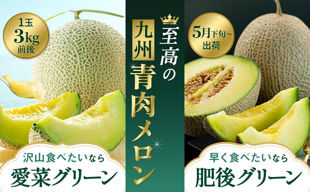 九州青肉メロン・愛菜グリーン&肥後グリーン