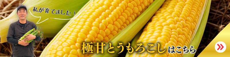 リンク付きの画像
