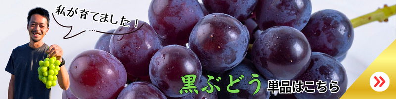 リンク付きの画像