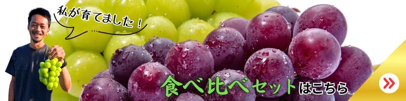 リンク付きの画像