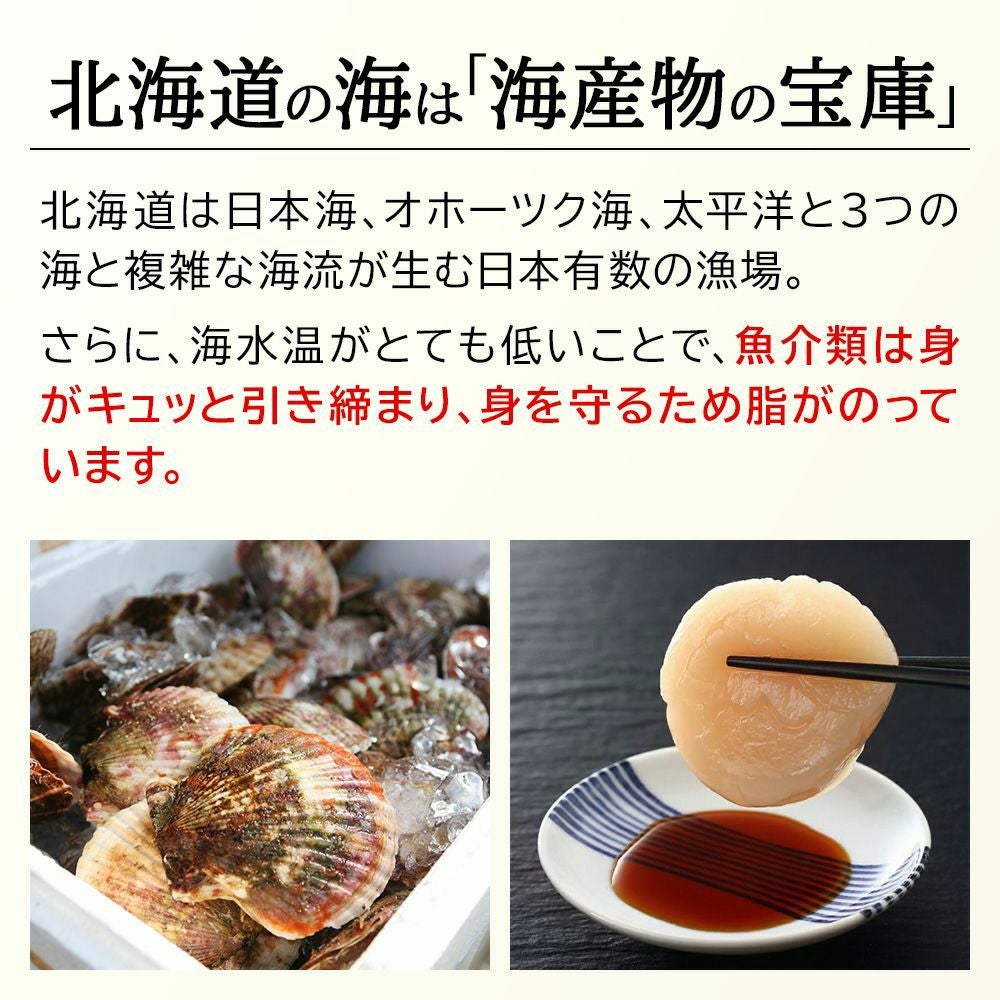 北海道産 ホタテ貝柱 500g お刺身用 産直テーブル