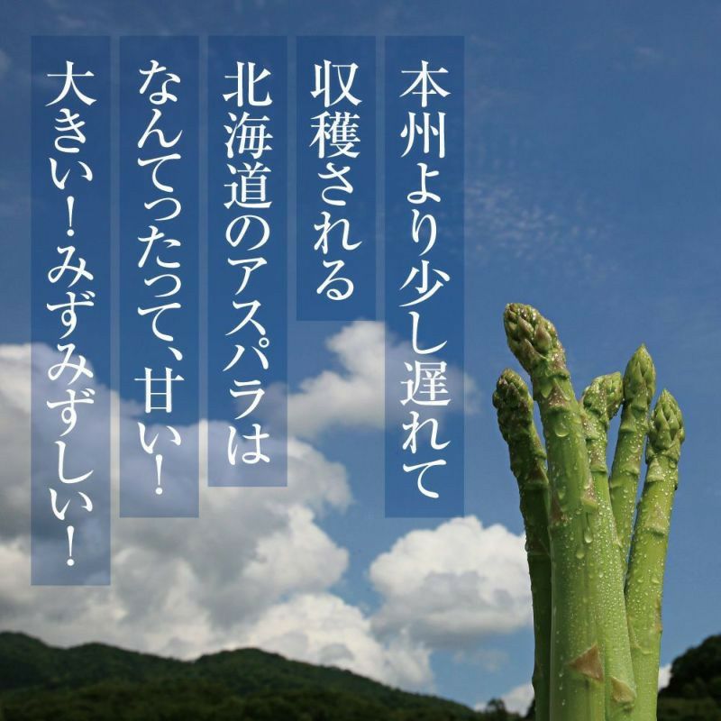 早期予約】北海道産 朝摘み夏アスパラ 〈家庭用訳あり〉 1kg前後