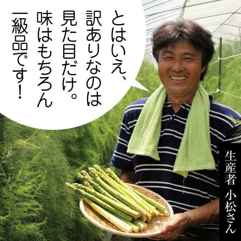 新鮮アスパラ　アスパラガス　B品　訳ありミックス 楽天市場】【ふるさと納税】 訳あり アスパラガス B品 600g~1.2kg 朝