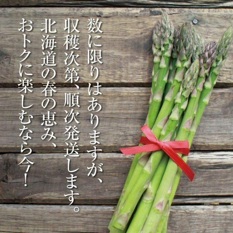 北海道産 朝摘み春アスパラ 〈家庭用訳あり〉 1kg前後 (サイズ無選別