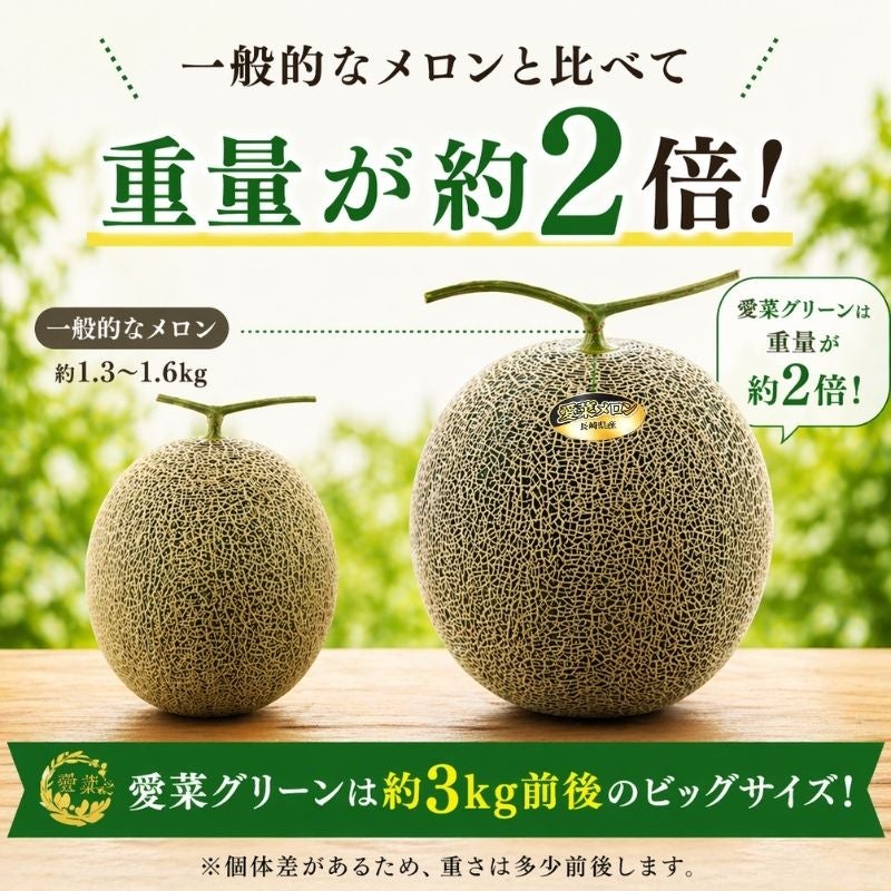 長崎県産 宮崎さんちの超特大メロン 〈愛菜グリーン〉 青肉 3kg前後×1