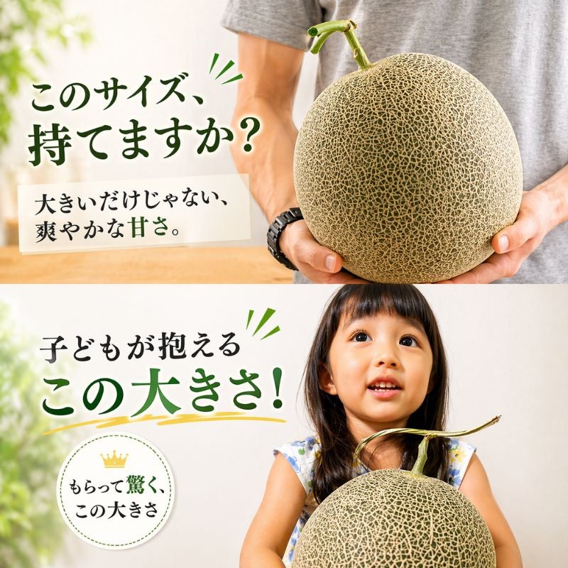 早期特典まとめ割】 長崎県産 宮崎さんちの超特大メロン 〈愛菜