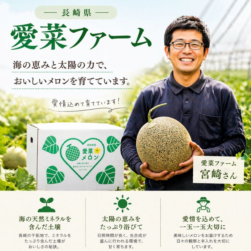 早期特典まとめ割】 長崎県産 宮崎さんちの超特大メロン 〈愛菜