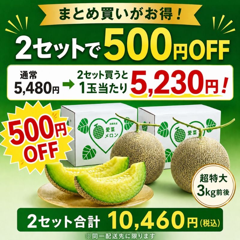 長崎県産 宮崎さんちの超特大メロン 〈愛菜グリーン〉 青肉 3kg前後×1