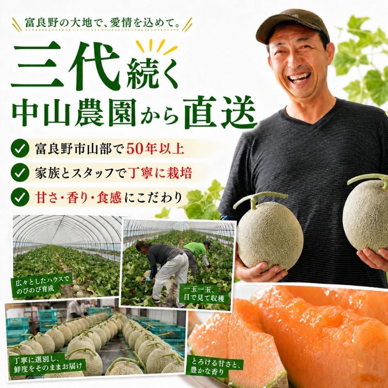 北海道産 中山さんちの富良野メロン 赤肉メロン 特大2kg前後×1玉（常温