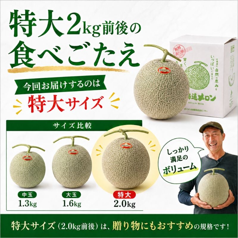 北海道産 中山さんちの富良野メロン 赤肉メロン 特大2kg前後×1玉（常温
