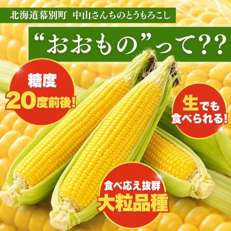 北海道幕別町 中山さんちの黄色とうもろこし「おおもの」10本セット (L