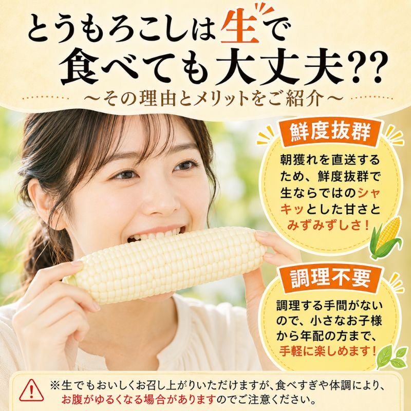 北海道幕別町 中山さんちの黄色とうもろこし「おおもの」10本セット (L