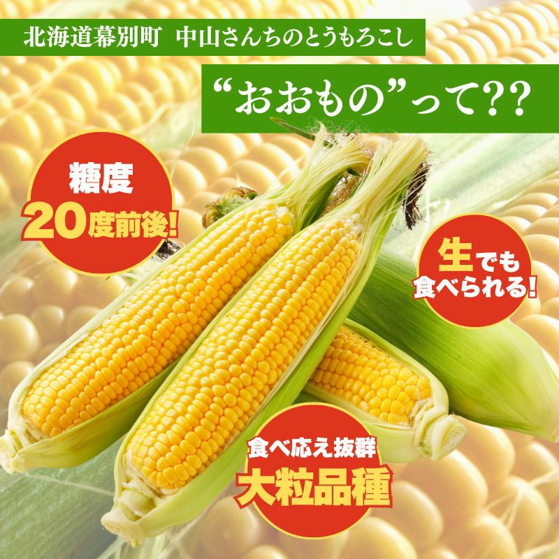 北海道産 中山さんちの白・黄とうもろこし 食べ比べ10本セット 雪の
