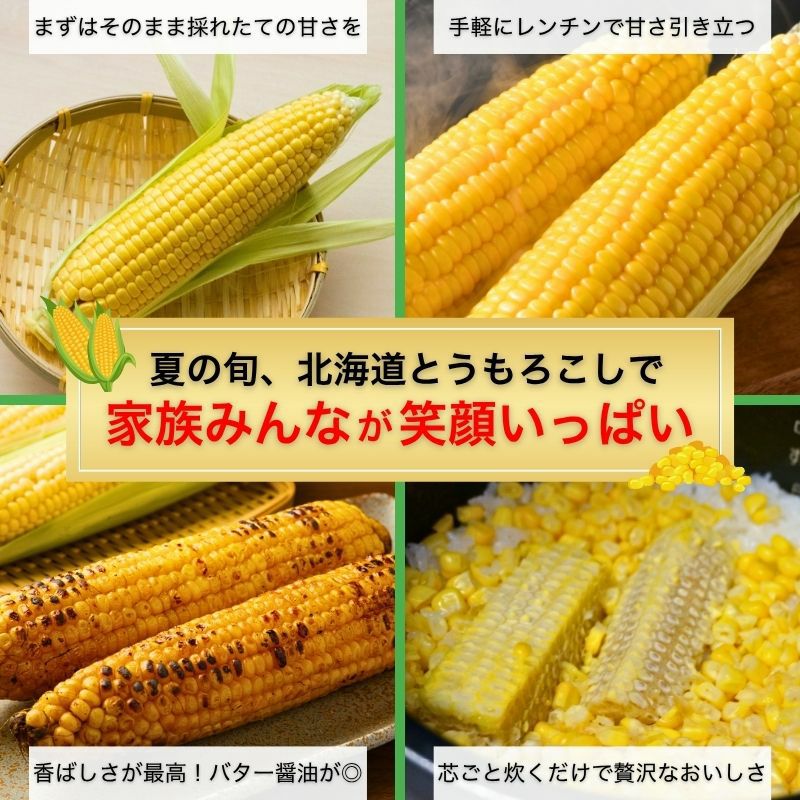 北海道産 中山さんちの白・黄とうもろこし 食べ比べ10本セット 雪の