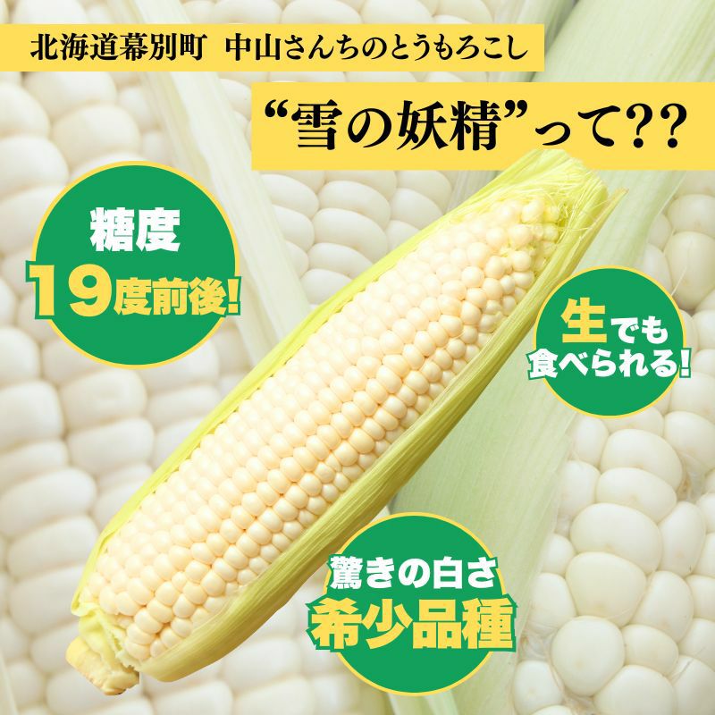 北海道産 中山さんちの白とうもろこし “雪の妖精”10本セット 産直テーブル