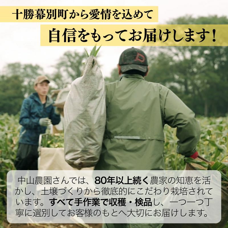 北海道産 中山さんちの白とうもろこし “雪の妖精”10本セット 産直テーブル