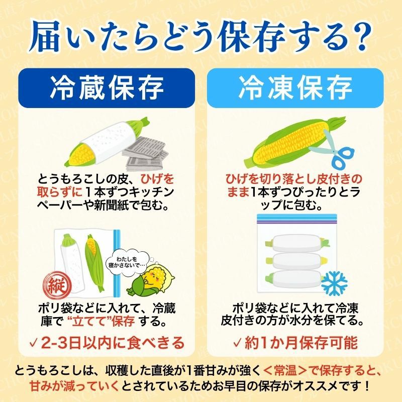北海道産 中山さんちの白とうもろこし “雪の妖精”10本セット 産直テーブル