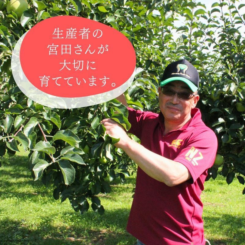 北海道七飯町産 早生りんご ななみつき 3kg前後 ギフト用白箱入り 光