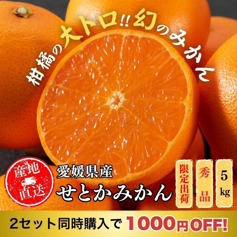 愛媛県産せとかみかん3Lサイズ 約5kg 楽天市場】【ふるさと納税】みかん 愛媛 せとか L～3Lサイズ 【選べる