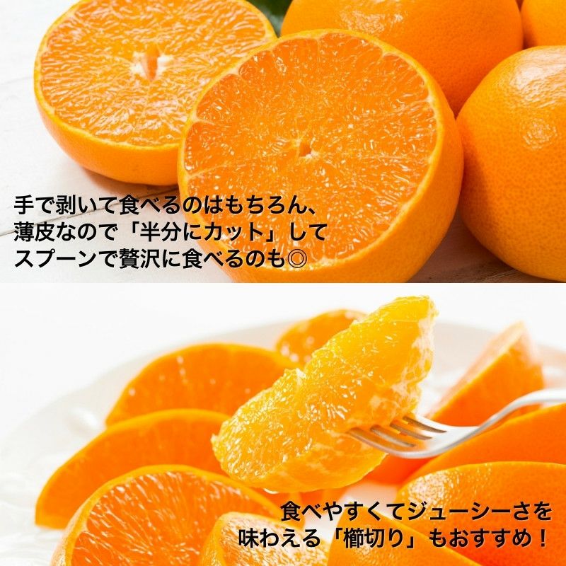 愛媛県産せとかみかん3Lサイズ 約5kg 愛媛県産 せとか みかん 5kg前後 秀品 L～3Lサイズ（約16～27玉） 産直