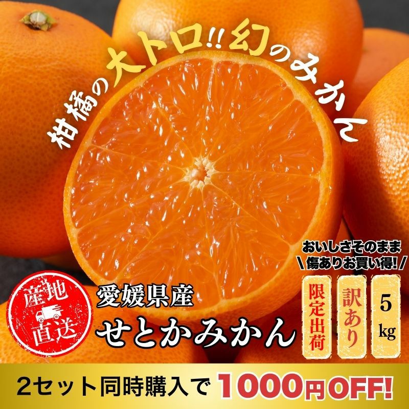 愛媛県産 せとか みかん 5kg前後 家庭用訳あり L～3Lサイズ（約16～27