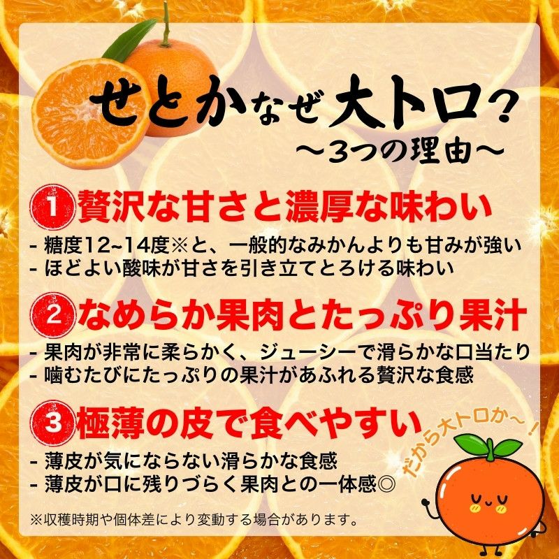 愛媛県産 せとか みかん 5kg前後 家庭用訳あり L～3Lサイズ（約16～27