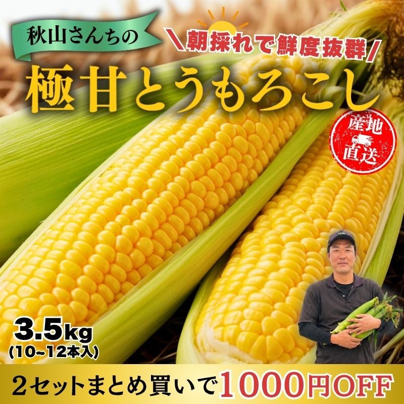 福岡県産 秋山さんちの極甘とうもろこし〈ゴールドラッシュ〉 大サイズ