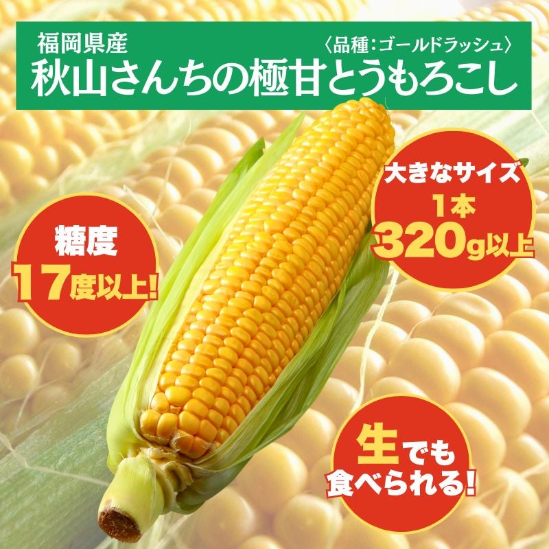 福岡県産 秋山さんちの極甘とうもろこし〈ゴールドラッシュ〉 大サイズ