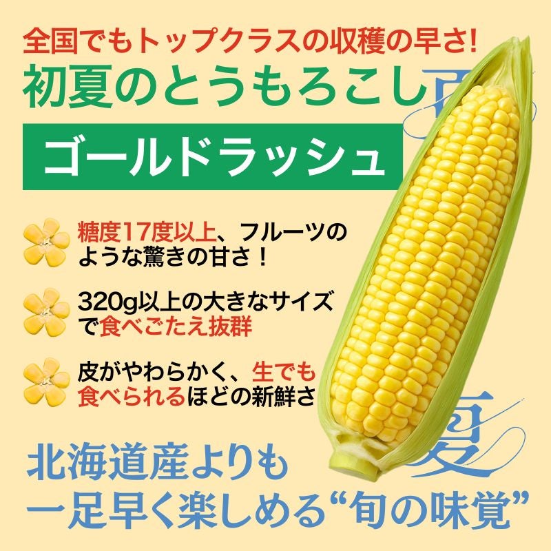 福岡県産 秋山さんちの極甘とうもろこし〈ゴールドラッシュ〉 大サイズ