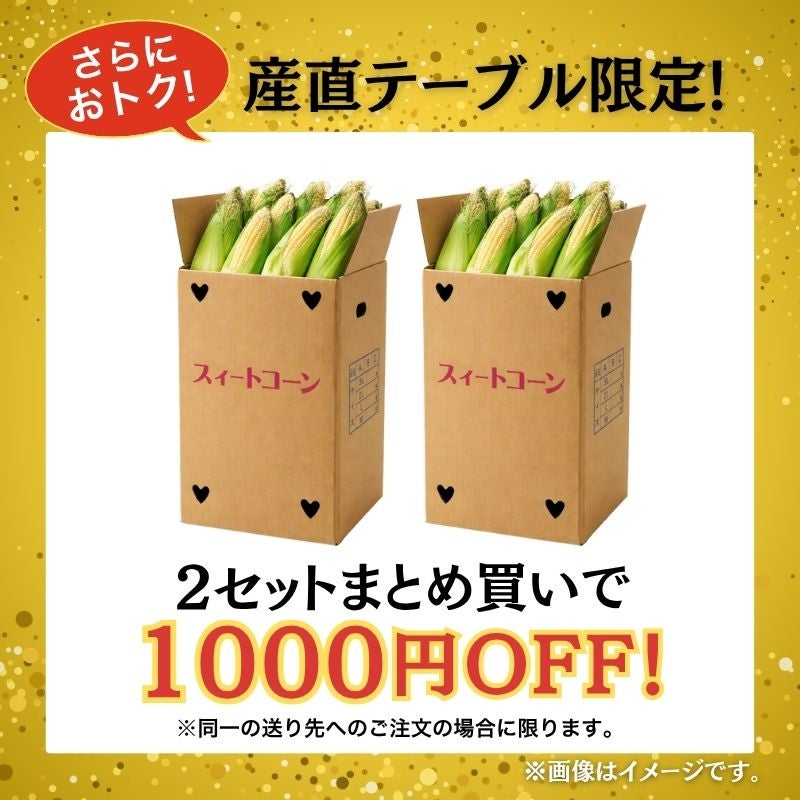 福岡県産 秋山さんちの極甘とうもろこし〈ゴールドラッシュ〉 大サイズ