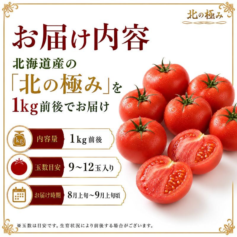 糖度9度以上＞ 北海道産 スーパーフルーツトマト 「北の極み」 1kg前後