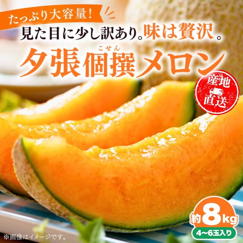 夕張個撰メロン 約8kg（4～6玉入り） 産直テーブル