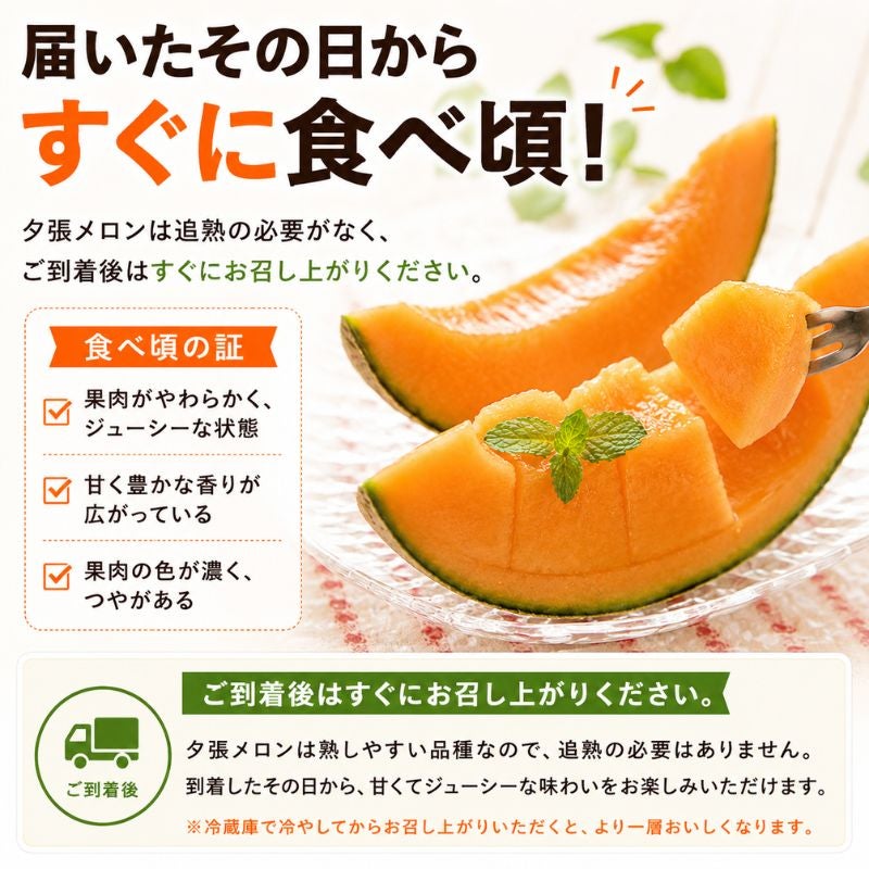 夕張個撰メロン 約8kg（4～6玉入り） 産直テーブル
