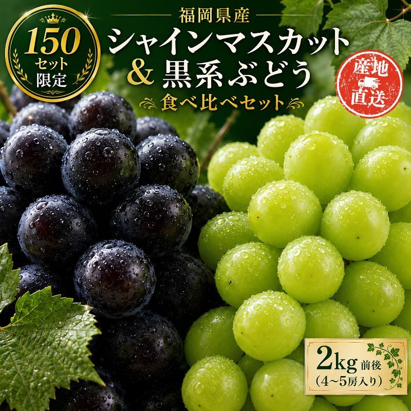 【シャインマスカット５房③】ぶどう 福岡県産 シャインマスカット 限定150セット】福岡県産 シャインマスカット＆黒系ぶどう 食べ比べ