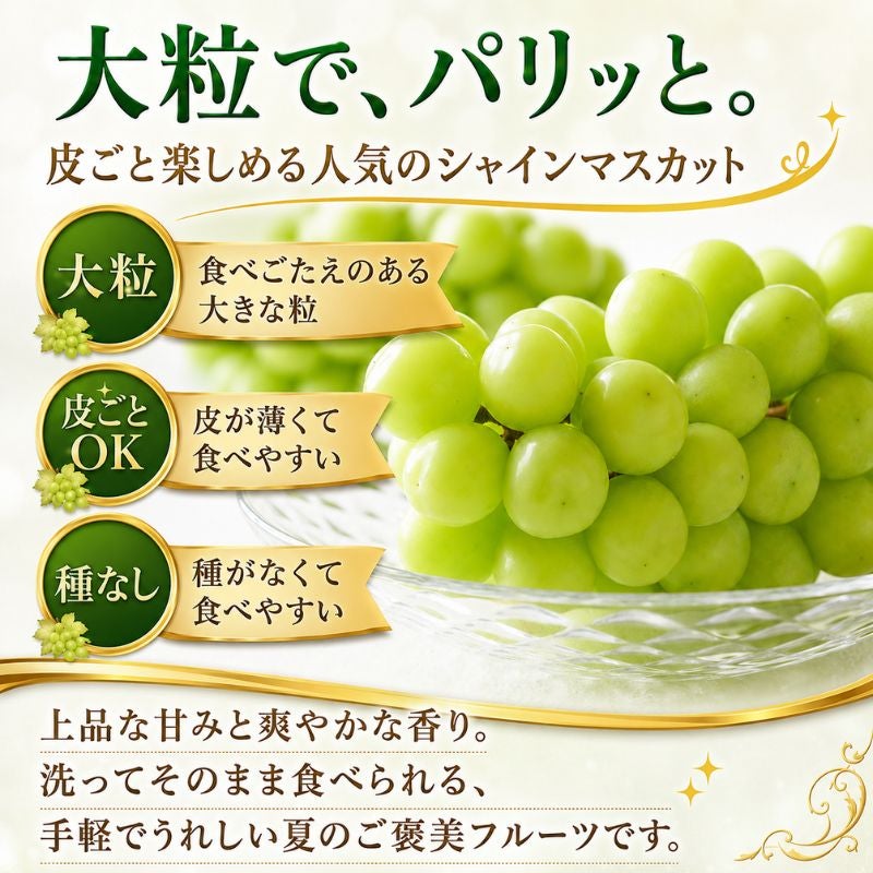 限定150セット】福岡県産 シャインマスカット＆黒系ぶどう 食べ比べ