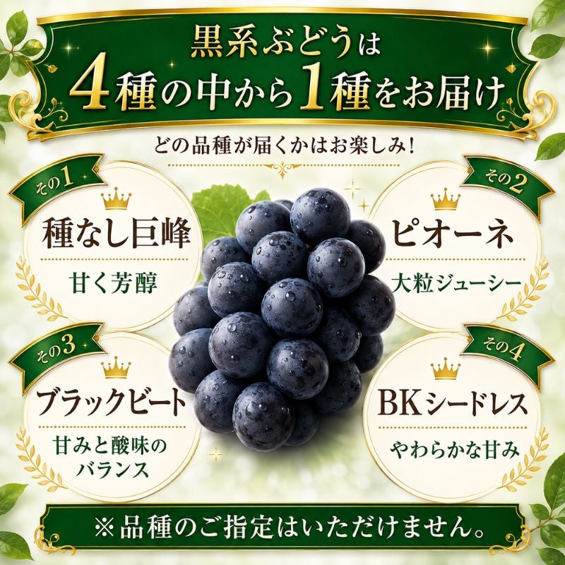 限定150セット】福岡県産 シャインマスカット＆黒系ぶどう 食べ比べ