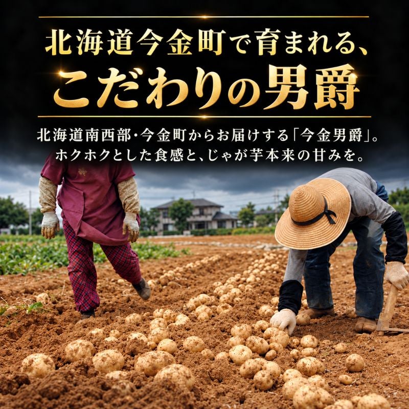 北海道今金町産 じゃがいも「今金男爵（いまかねだんしゃく）」約6kg