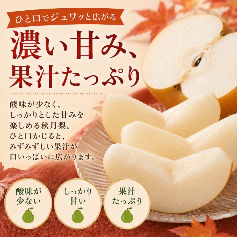 限定150セット】熊本県産 秋月梨（あきづき） 約5kg（12～16玉前後