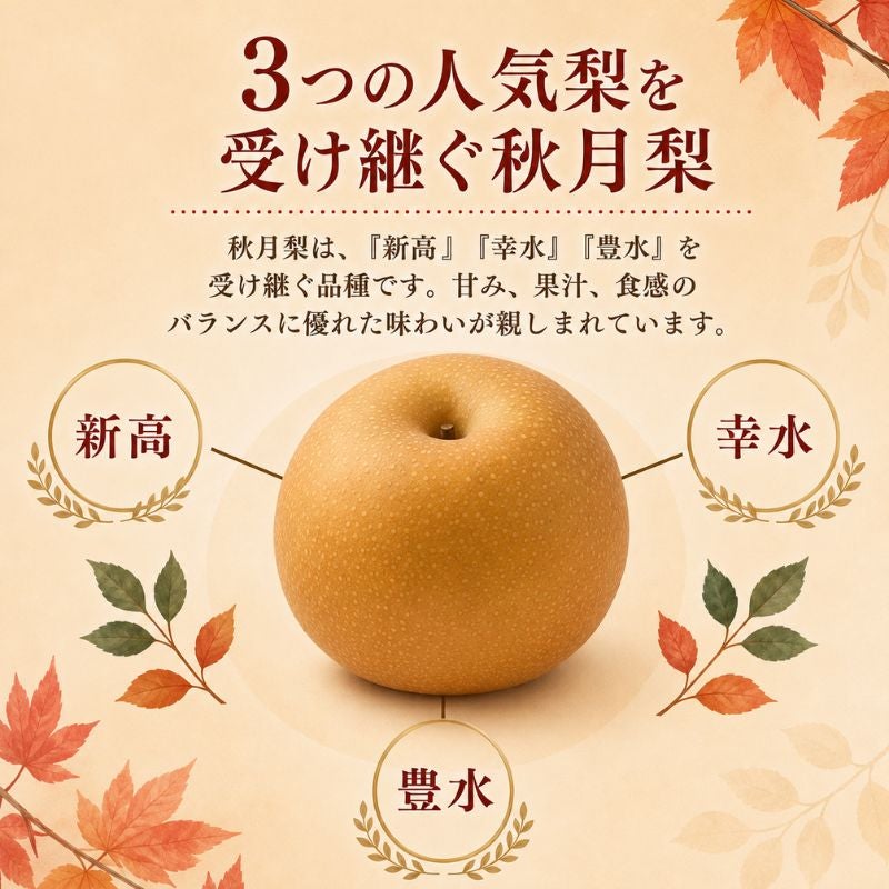 限定150セット】熊本県産 秋月梨（あきづき） 約5kg（12～16玉前後
