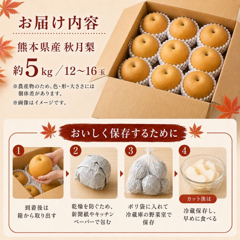 熊本県産 秋月梨 5kg 産地直送　ブランド梨 限定150セット】熊本県産 秋月梨（あきづき） 約5kg（12～16玉前後