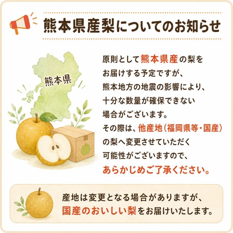 限定150セット】熊本県産 秋月梨（あきづき） 約5kg（12～16玉前後