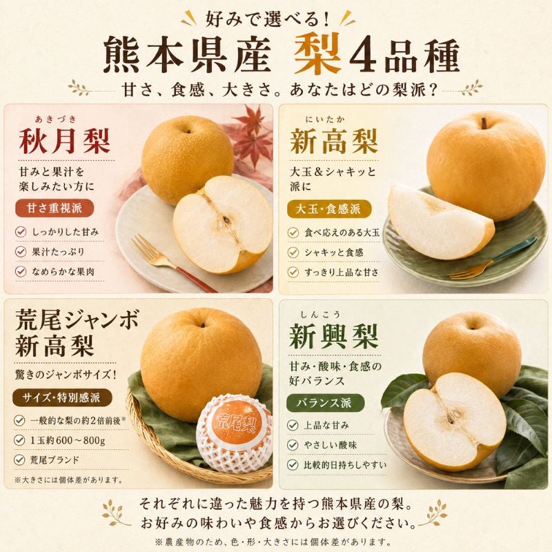限定150セット】熊本県産 秋月梨（あきづき） 約5kg（12～16玉前後