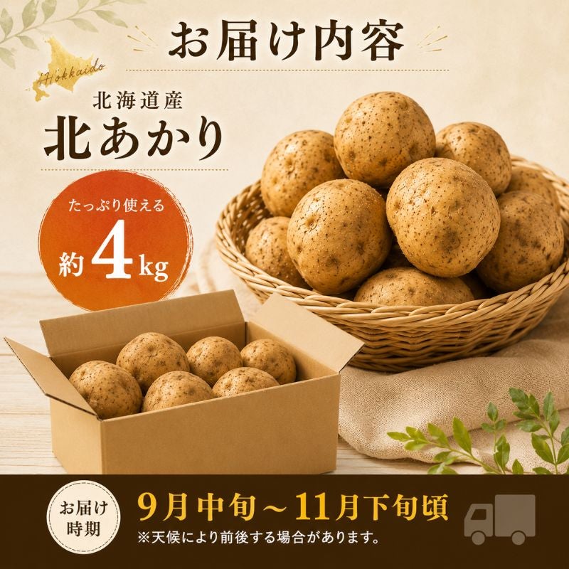 北海道産じゃがいも キタアカリ 北あかり 甘くてホクホク 人気の品種