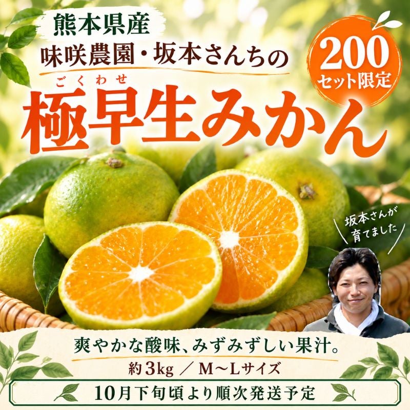 ド根性みかん@プロフ必読 限定200セット】熊本県産 味咲農園・坂本さんちの 極早生みかん（ごく
