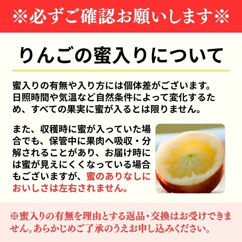 限定200セット】青森県産りんご こみつ 秀Aランク以上 2kg前後 9～12玉