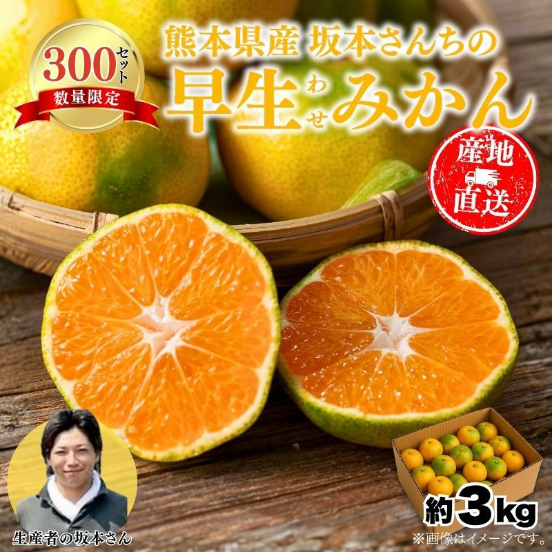 限定300セット】熊本県産 坂本さんちの 早生みかん（わせ） 3kg前後 M